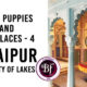 udaipur, the city of lakes, hush puppies