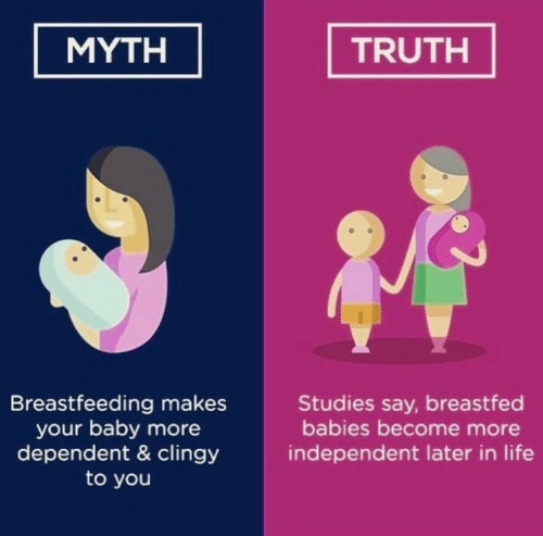 breastfeeding does not make child clingy