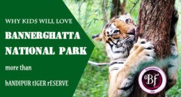 WHY KIDS WILL LOVE BANNERGHATTA NATIONAL PARK MORE THAN BANDIPUR TIGER RESERVE