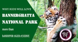 bannerghatta national park