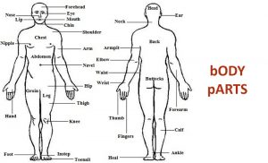 Sensual body massage