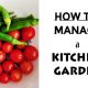 tips for a kitchen garden