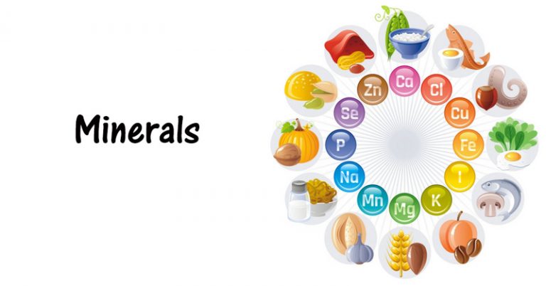 LIST OF FOODS THAT CONTAIN THE VITAMINS, MINERALS AND NUTRIENTS OUR ...