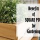 Square Pots for Gardening