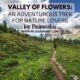 VALLEY OF FLOWERS: AN ADVENTUROUS TREK FOR NATURE LOVERS