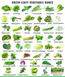 15 HEALTHY FOODS TO HELP COOL YOUR BODY body-cooling foods