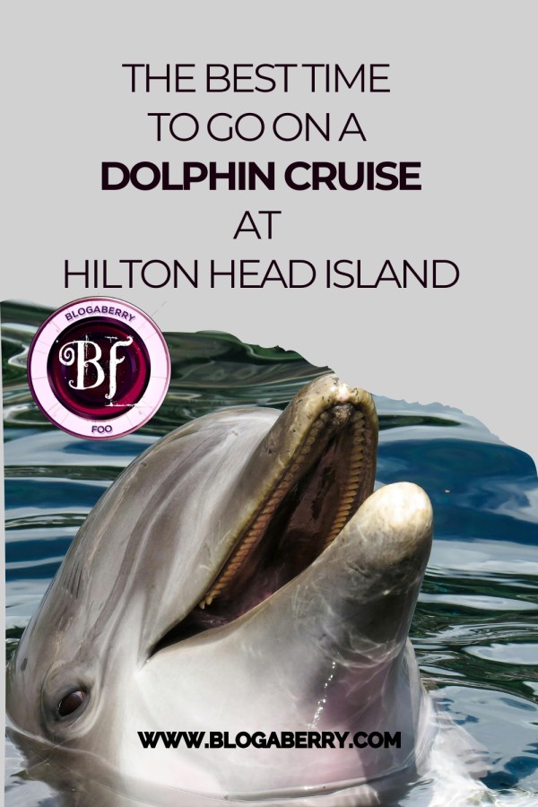 THE BEST TIME TO GO ON A DOLPHIN CRUISE AT HILTON HEAD ISLAND