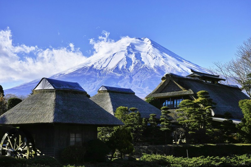 THE UNEXPECTED PERKS OF BOOKING A JAPAN HOLIDAY WITH THRILLOPHILIA