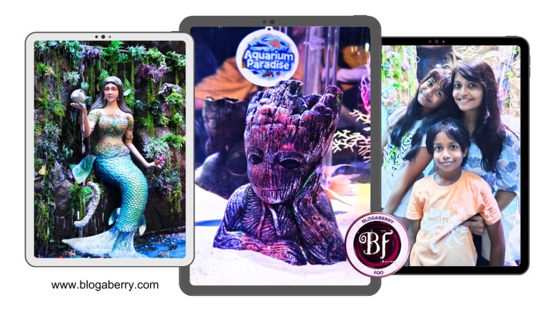 10 TIPS BEFORE VISITING THE ALL-NEW AQUARIUM PARADISE IN BANGALORE