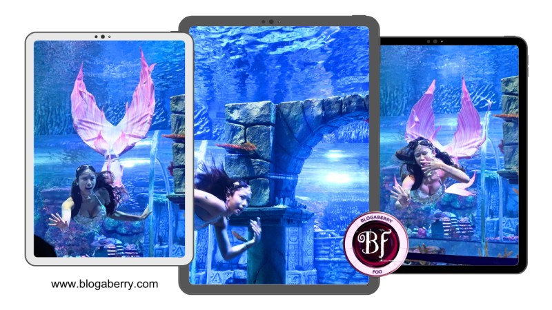 10 TIPS BEFORE VISITING THE ALL-NEW AQUARIUM PARADISE IN BANGALORE