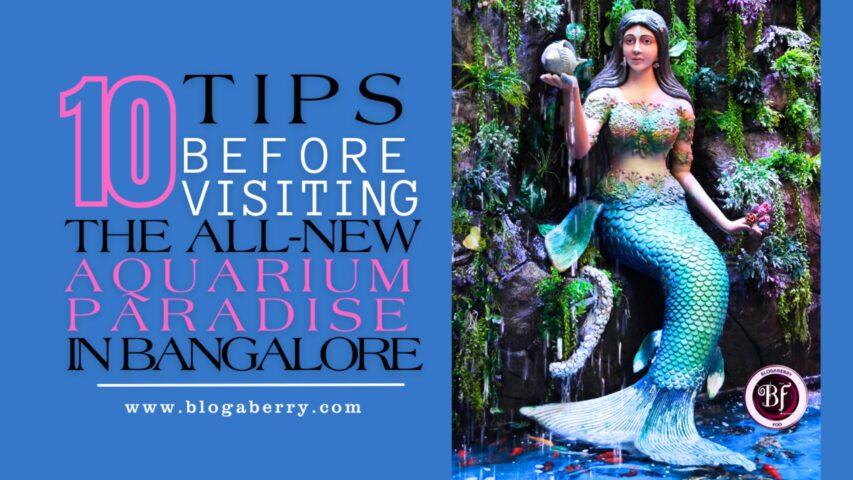 10 TIPS BEFORE VISITING THE ALL-NEW AQUARIUM PARADISE IN BANGALORE
