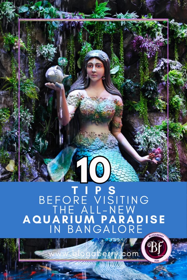 10 TIPS BEFORE VISITING THE ALL-NEW AQUARIUM PARADISE IN BANGALORE