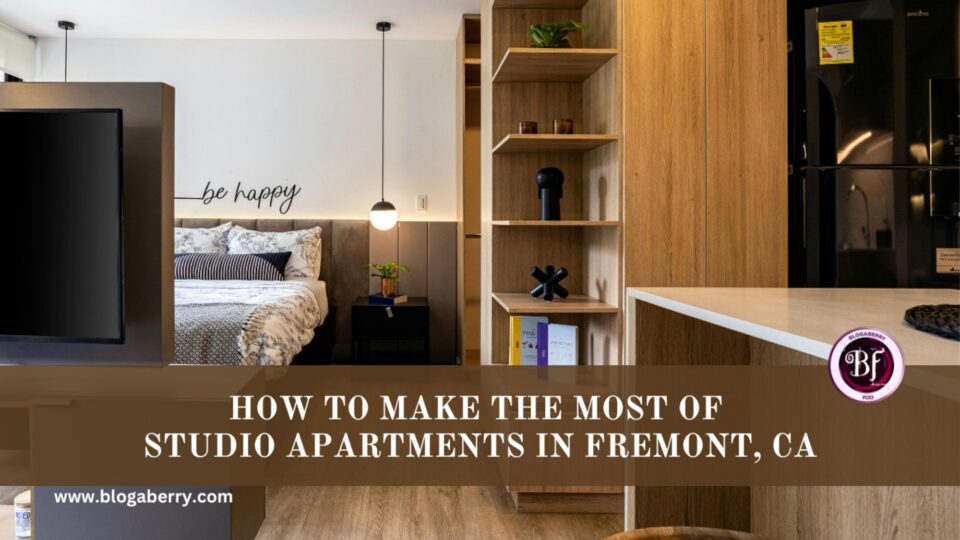 HOW TO MAKE THE MOST OF STUDIO APARTMENTS IN FREMONT, CA