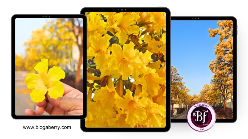 A SPECIAL POST FOR MARCH! HOW DID YOU GET THROUGH THIS MONTH?