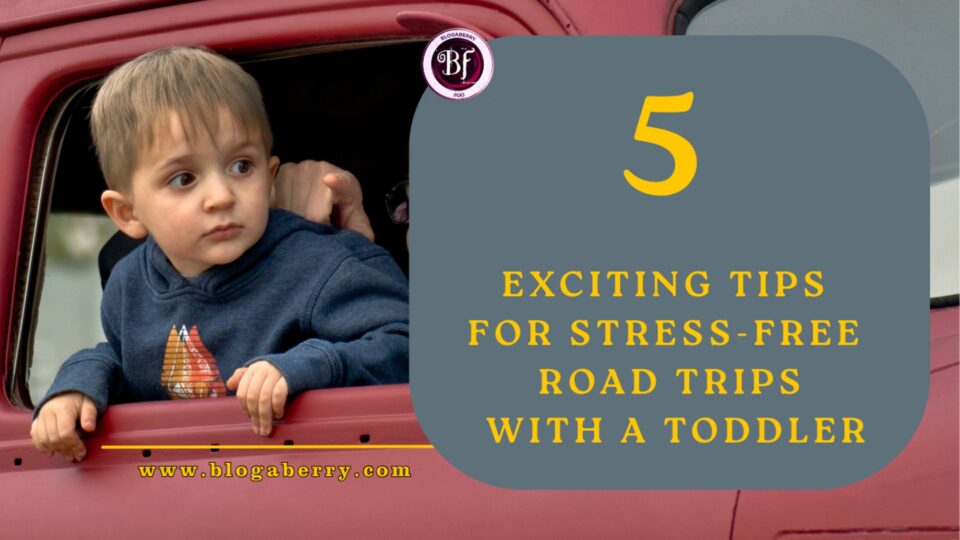 5 EXCITING TIPS FOR STRESS-FREE ROAD TRIPS WITH A TODDLER