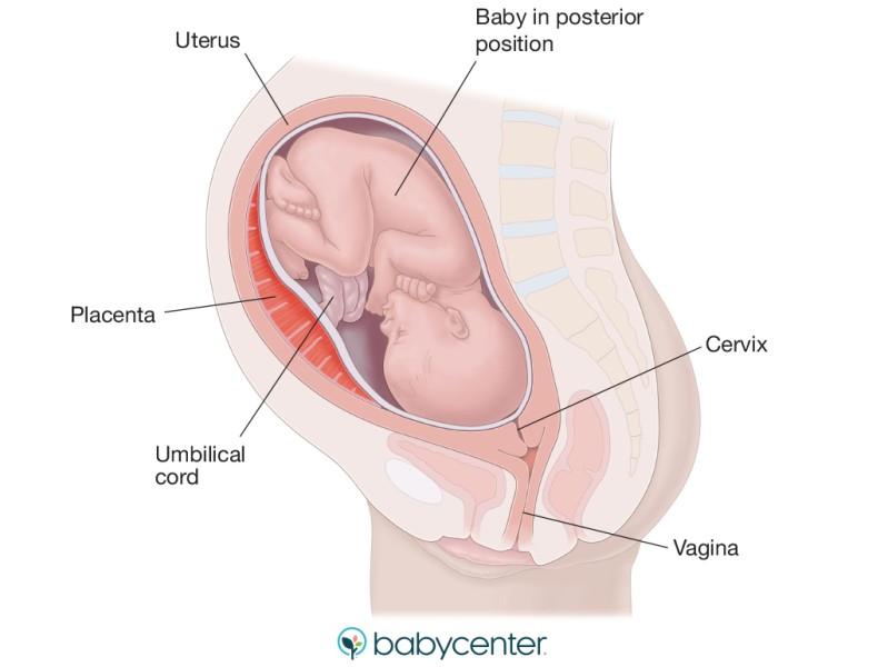 CHILDBIRTH UNFILTERED: SOME EMBARRASSING TRUTHS NO ONE TALKS ABOUT