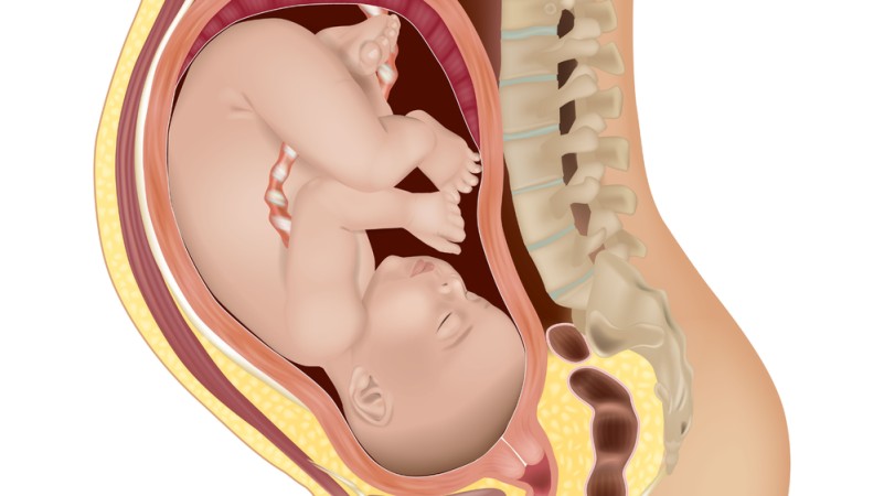CHILDBIRTH UNFILTERED: SOME EMBARRASSING TRUTHS NO ONE TALKS ABOUT